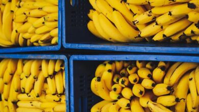 Photo of Decomisan 840 kilos de cocaína escondidos en cajas de plátanos para supermercados