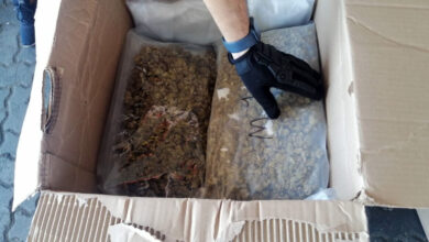 Photo of Ocupan 220 paquetes marihuana en tanque que llegó desde EE.UU.