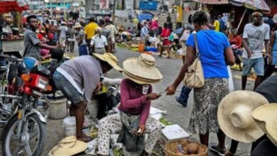 Photo of Gobierno haitiano lanza un programa para hacer frente a la crisis alimentaria