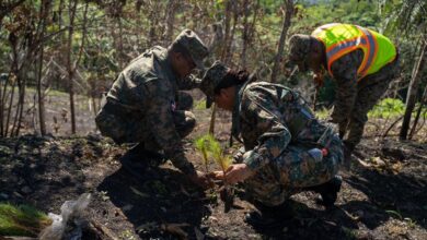 Photo of Ejército realiza jornada de reforestación en Villa Altagracia