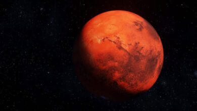 Photo of ¿Te interesa? La NASA busca candidatos para simulación sobre la primera expedición humana a Marte