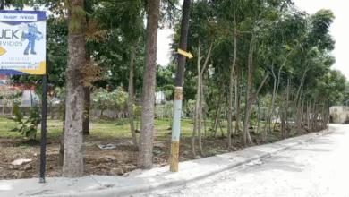 Photo of Consejo de Regidores de Los Alcarrizos aprueba derecho de propiedad a empresa sobre área verde; ambientalistas y comunitarios exigen investigación