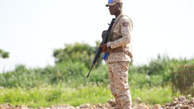 Photo of La operación fue ejecutada por miembros del Cuerpo Especializado en Seguridad Fronteriza Terrestre