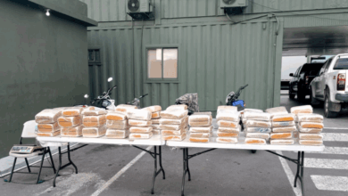 Photo of Decomisan 572 libras de marihuana ocultas en parte trasera de camión en Baní