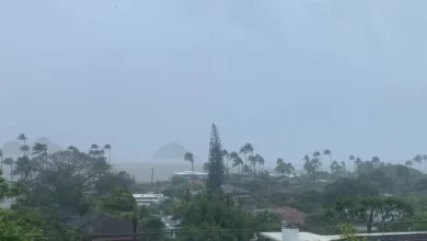 Photo of Más de 139.000 clientes sin electricidad en Hawái por tormenta Kona